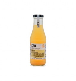 KEFIR DE GENJIBRE 210 ML5